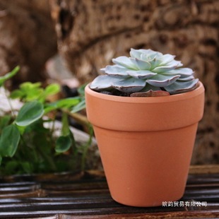 �t�ջ���t������ռt�����G�}���ߺ��s���W�մɴ�̖���⻨��