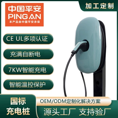 Pile Little Tesla Byd Xiaopeng Jifeng Zero Running Home 7Kw Ac Charging Pile New Energy Vehicle Fast Charging