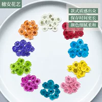 Посадочная база Прямые поставки Dyeable Daisy Сухой цветок Тисненый образец ручной работы DIY Тисненая Капля клея оболочка мобильного телефона