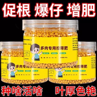���⌣�ÿ�ጷ�250g��ጷʶ�����Ϸʱ������I�BҺ��ͥ�@ˇ�S��