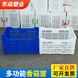 塑料箱;塑胶托盘;零件盒