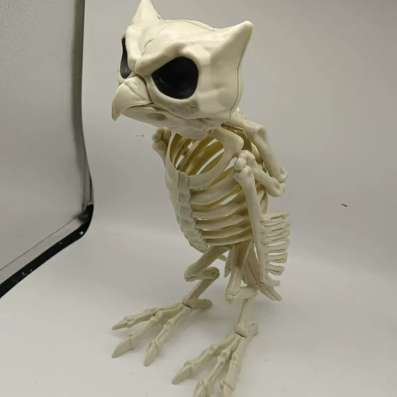 Realistic skeleton, halloween, owl