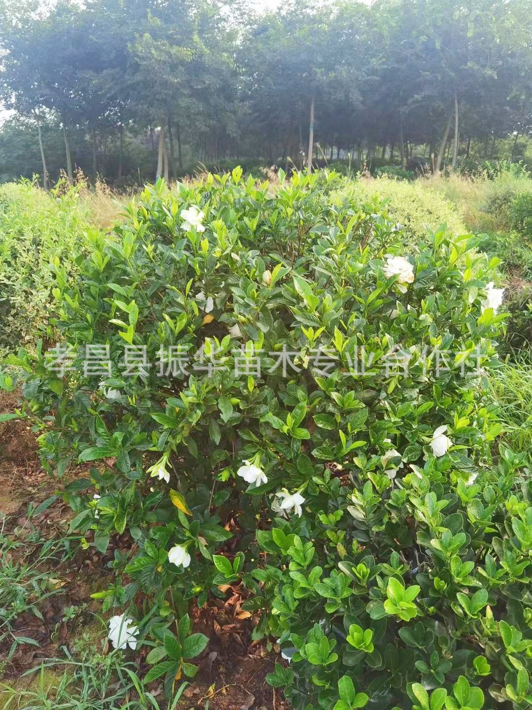 9945718d9381813920c7978640765e