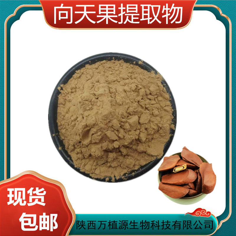 向天果提取物10:1 大叶桃花心木提取物 向天果原料粉 万植源 现货