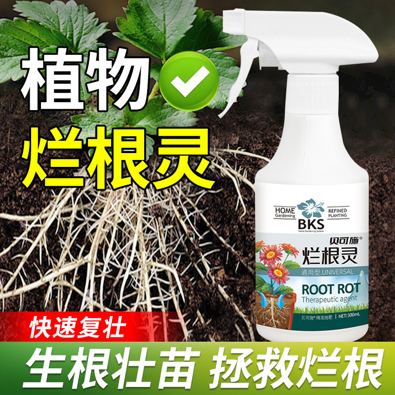 贝可施烂根灵300ml /瓶解决根部浇水引起烂根腐立枯根系弱不长枯