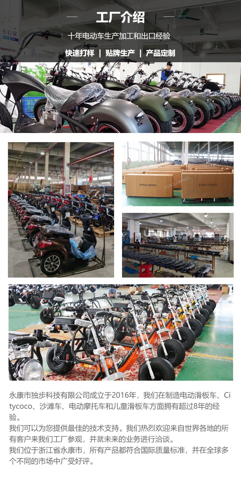 European Warehouse Dropshipping Ft02Eec Model Outdoor Cycling 48V Two-Wheeled Electric Motorcycle Bicycle Ce Certified