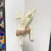 Beige-right (with pants)