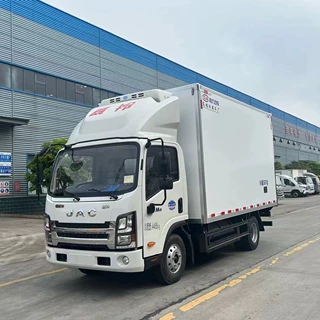 宽体厢长4.2米 蓝牌 肉钩蔬菜水果冷链肉钩车