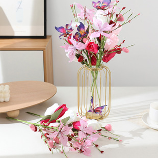 ������ɫϵ���滨��c�û���Y��ˇ���ú����m�����������c�b�