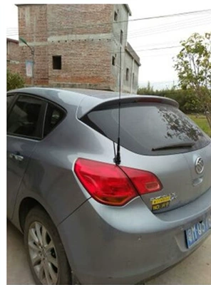 Car-Mounted Modified Flagpole Rear: vehicle antenna