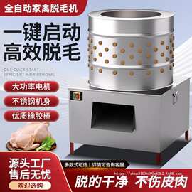 全自动电动家禽脱毛机拔鸡毛鸡鸭鹅鸽不锈钢商用家用杀鸡脱毛机