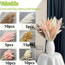 55pcs�ɻ���β��С���m�M�ϻ����ɻ��廨�[�����l�Ҿ��b羳��
