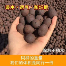 淘粒陶粒垫底陶粒大号养花专用回填卫生间彩色陶泥颗粒花用铺面