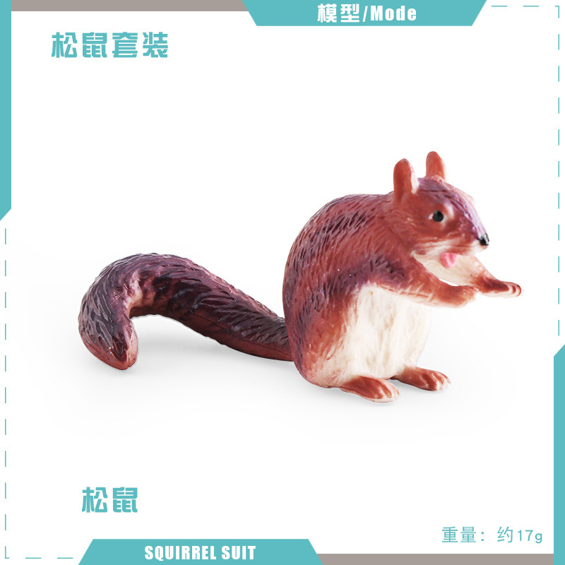 PL127-2289 ardilla 17g