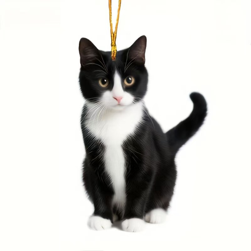 q12 높이 7cm ~ 8cm