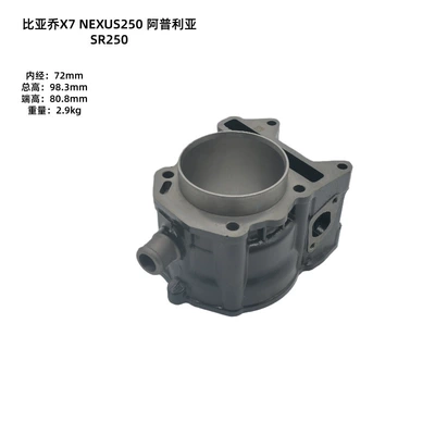 Piaggio Motorcycle Parts X7Nexus250 Cylinder and parts