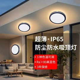 防爆灯;吸顶灯;支架