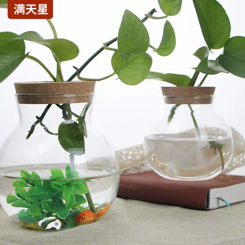 现代简约水培植物瓶花瓶高硼硅玻璃景观瓶圆形微景观生态瓶