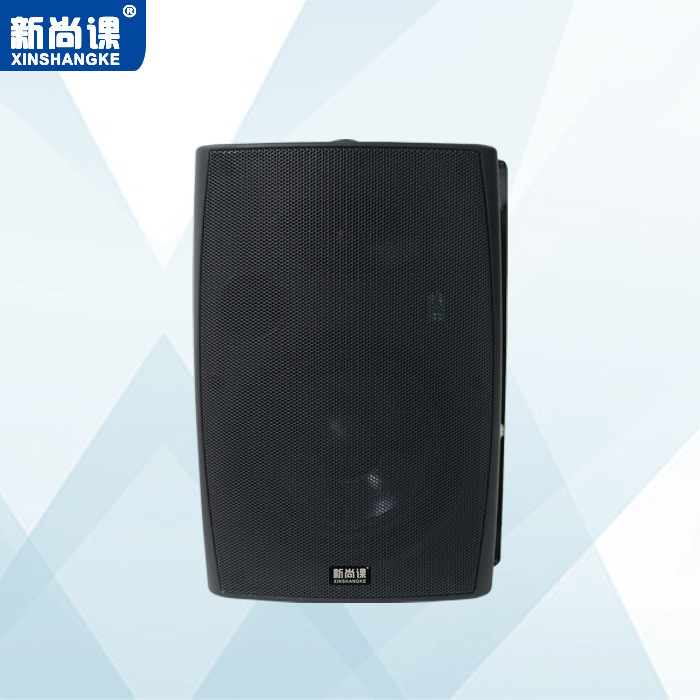 Transfronterizo nuevo curso Bluetooth puerto USB altavoz activo tienda especial amplificador de potencia colgado pared altavoz de restaurante de bajo pesado