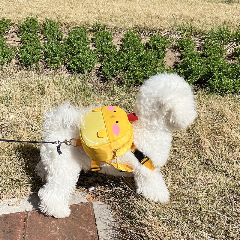 ペットは犬の散歩に出かけます。|undefined