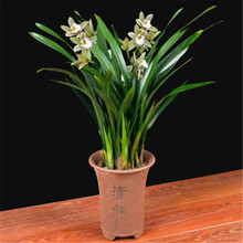 һ�����l�m�������Խ��m�����ļ������ī�m��ޥ�m�҃ȾGֲ����