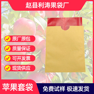 �O���״��S�ҹ����p�Ӄȼt���Ӽ���Ĥ���������l