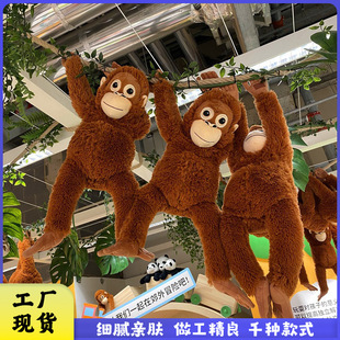 �羳�ȶ���˹�����ë�q����L�����ɹ��І�D��ˇ��żճ�۱���