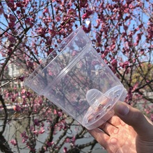 控根盆3.5寸透明育苗杯蝴蝶兰透气塑料硬植杯洋兰石斛沥水罩花盆
