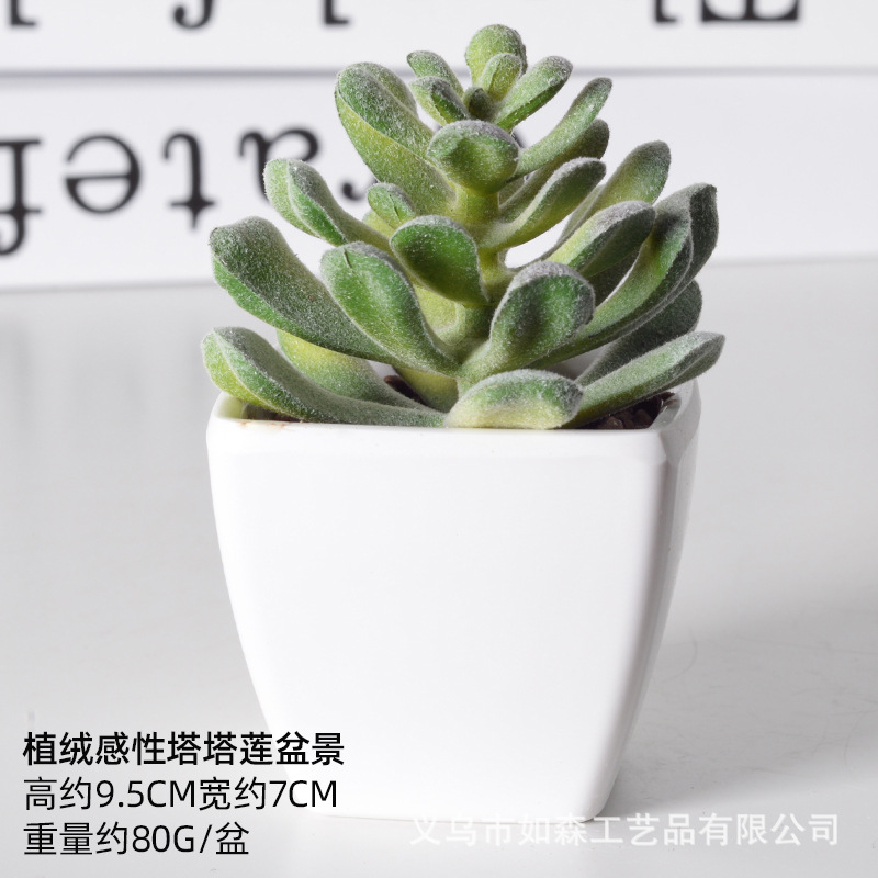Simulación de plástico carnoso bonsai flor falsa combinación oficina interior escritorio plantas verdes pequeños adornos plantas artificiales al por mayor image 50