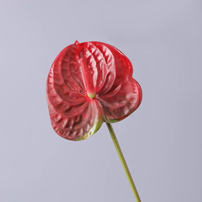 3D 플라밍고 팜-버건디 1#