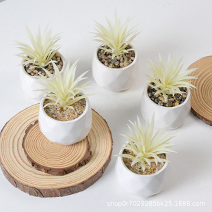 ����������С����diy��ɫ����Ҿ��b[�����������쾰�b�