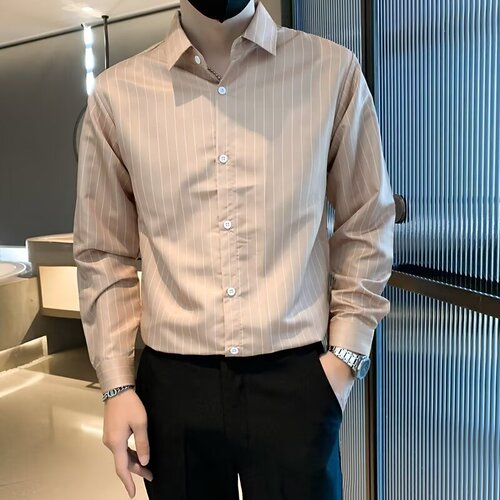 Spring and autumn slim striped shirt for men's long-sleeved and handsome 2025 new trend casual business dress lining clothes