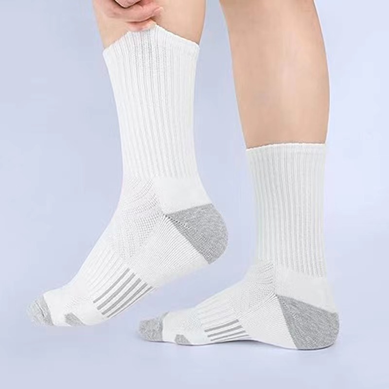 White Long Tube Socks