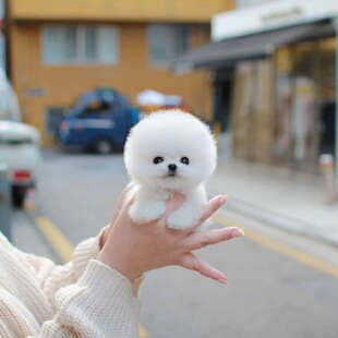 ���N������Ȯ���wС���豭Ȯ��������С�ͼ�ͥ��HȮ���ﹷ�����l