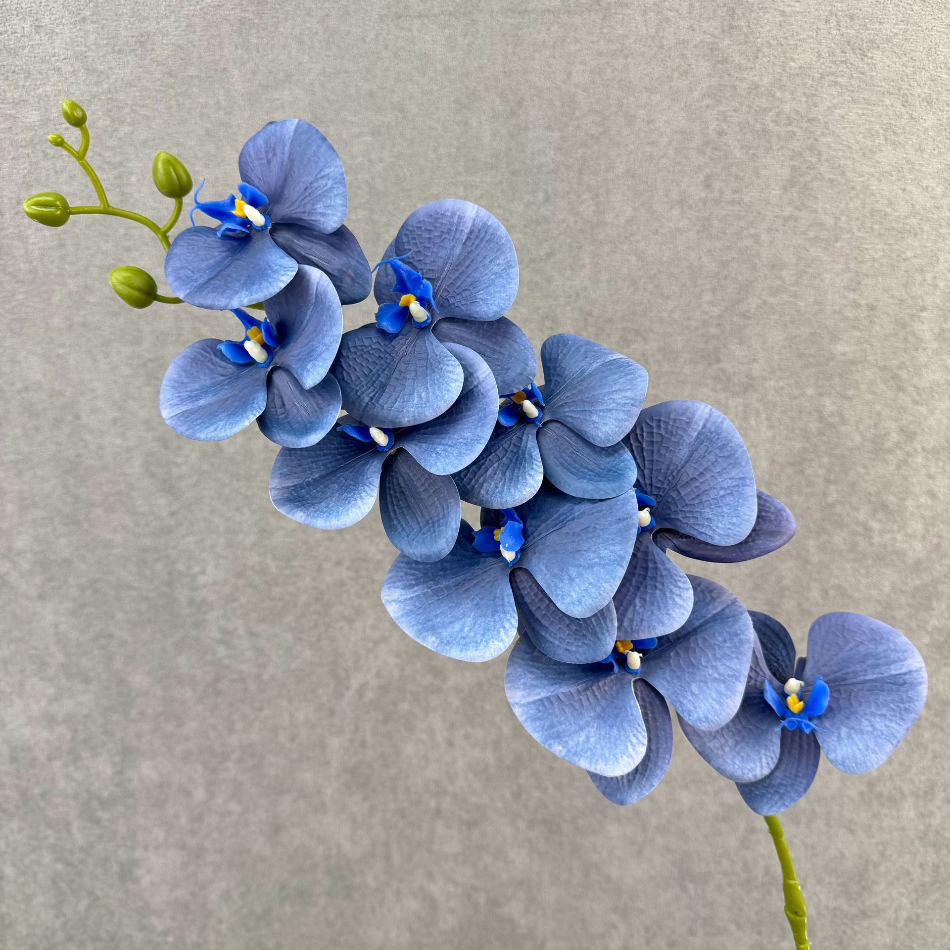Glazed blue