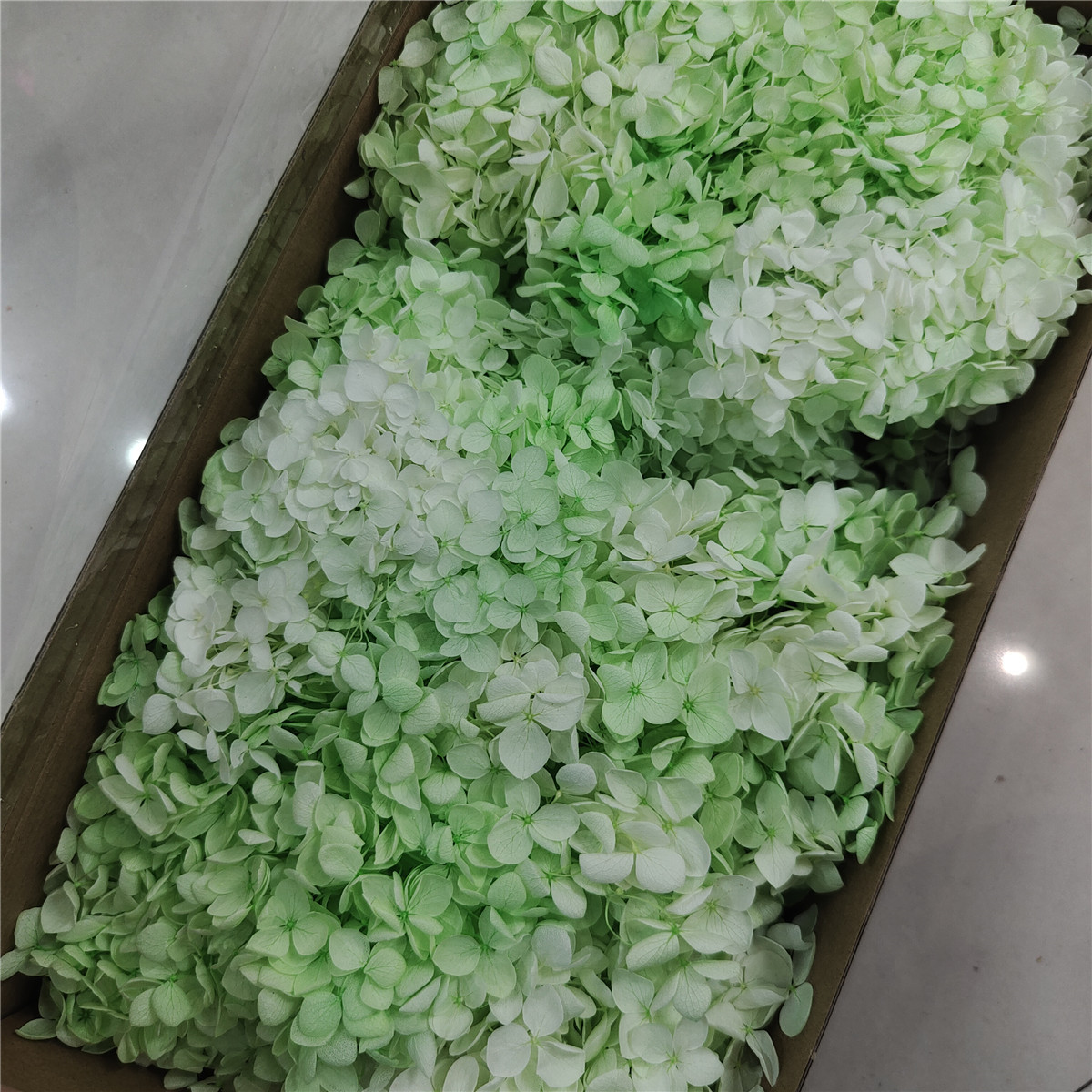 Flor eterna Hortensia Anna pequeña hoja flor seca flor real árbol de Navidad ventilador hecho a mano ramo DIY material paquete flor