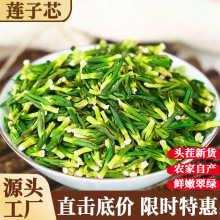新货莲子芯茶500g无硫特级泡水清热去火精选农家连子心散装批发