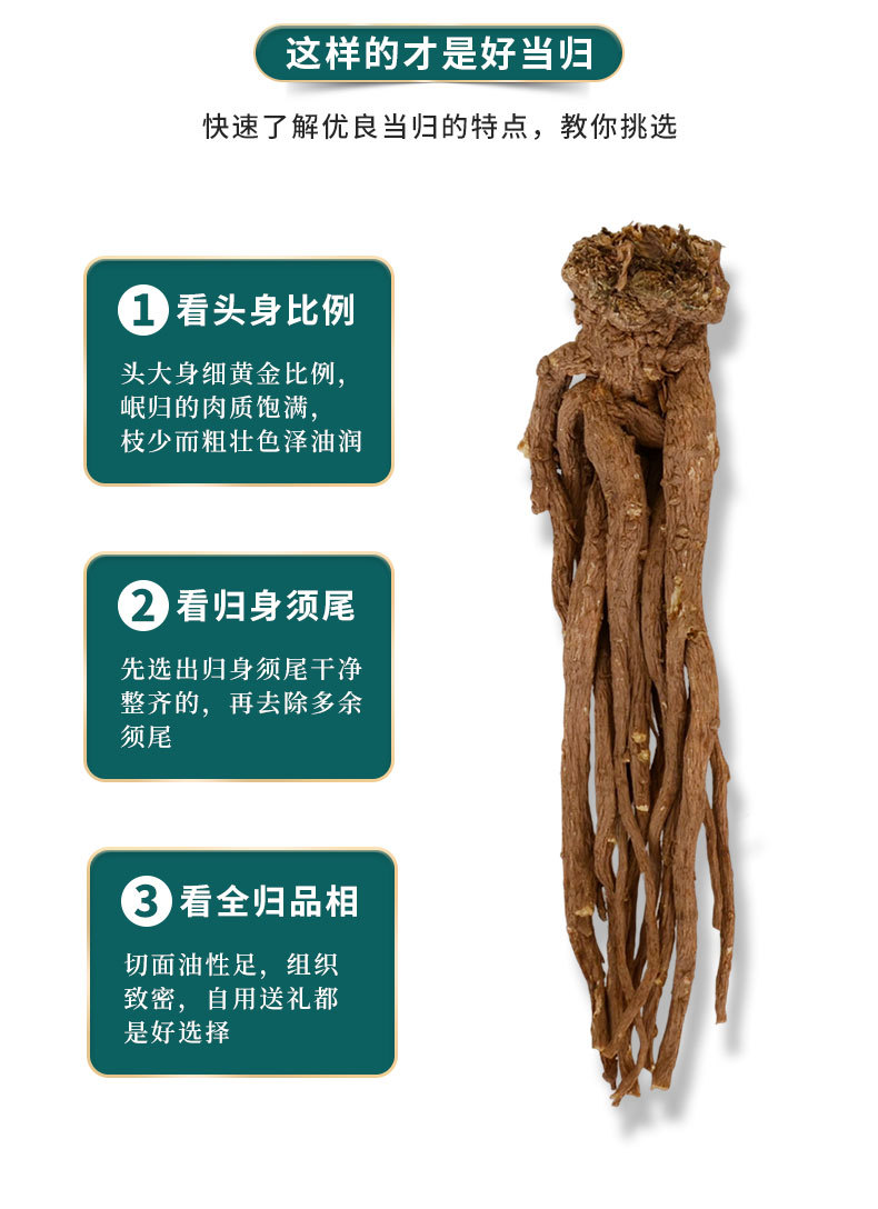 Premium Dang Gui from Dingxi Min County, Large and Medium-Sized Whole Roots, Sulfur-Free, New Stock, at Prices detail image