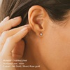 Earrings Simple New Products December Cosmetic earrings Color Diamond Earrings Gold Stainless Steel earrings