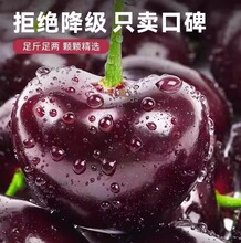 大连美早大樱桃新鲜水果包邮5斤礼盒当季整箱3j国产孕妇5j车厘子4