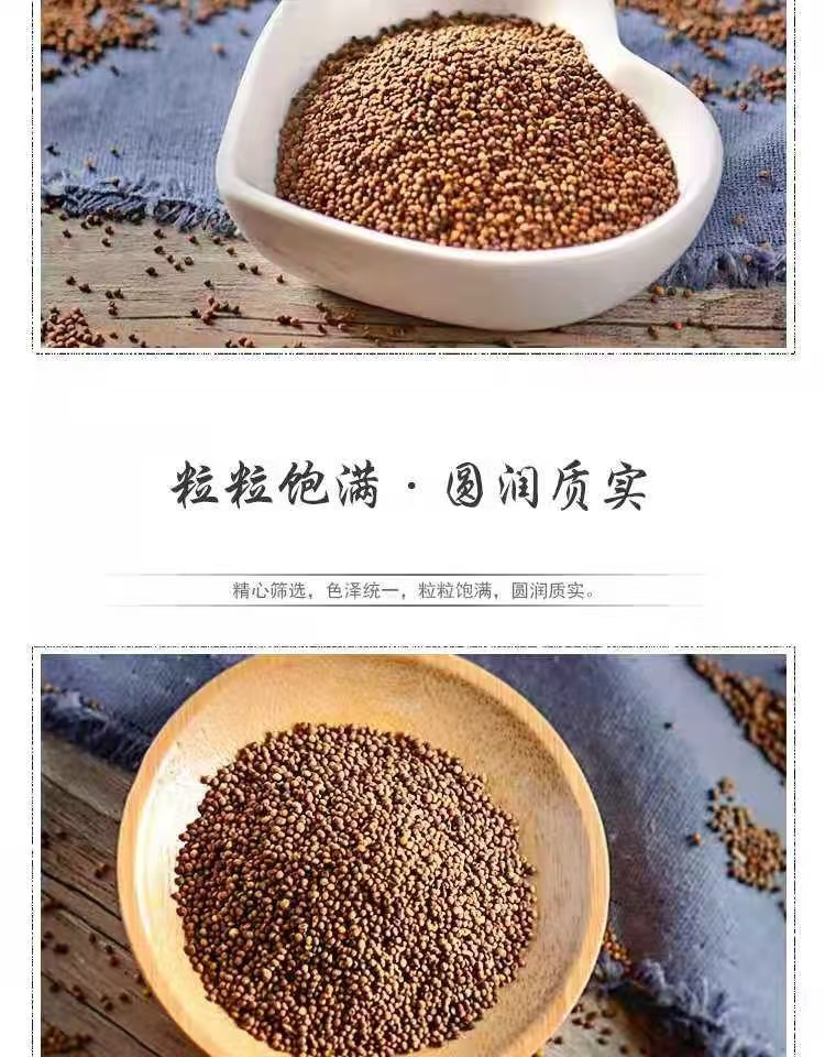 Tu Si Zi (Cuscuta chinensis) — Dried Food-Herb Seeds from Inner Mongolia for Tea & Water quality and texture