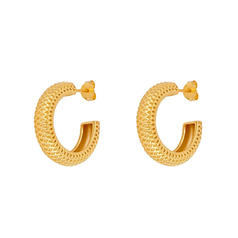 European And American S925 Silver Needle Mesh C-shaped Earrings Female Wholesale display picture 1