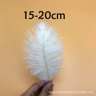 �S��ֱ�NС֧�r�B��ë�bF؛��c��ë