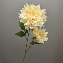 �¿�����շ��滨2�^��������c��Y���bҾӿ͏d�廨��Y��ˇ