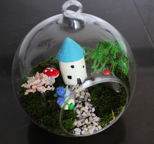 Simple hanging micro landscape ecological bottle succulent glass vase crystal transparent round manufacturer wholesale