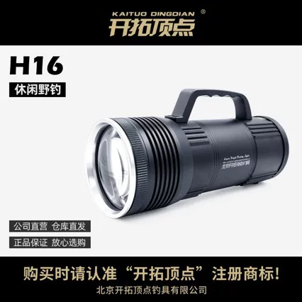 Pioneer Vertex H16 Night Fishing Light Fishing Light Leisure Wild Fishing Blue Light Warm Yellow Light Waterproof Super Bright Led