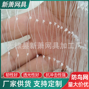 ��ʮ�׌��Bֳ���B�WBird net�~�����ܷ��B��W���ѹ��@�������B�W