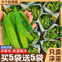 秋葵脆干即食蔬菜干500g非油炸果蔬混合装水果干零食小吃休闲食品