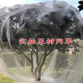 其他塑料网;农业塑料网