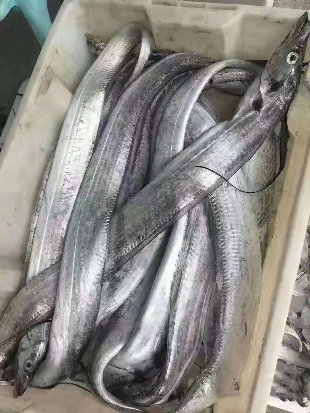 70e0ea1c944b31275981cd6d371846